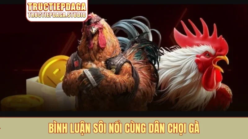 Bình luận sôi nổi cùng dân chọi gà