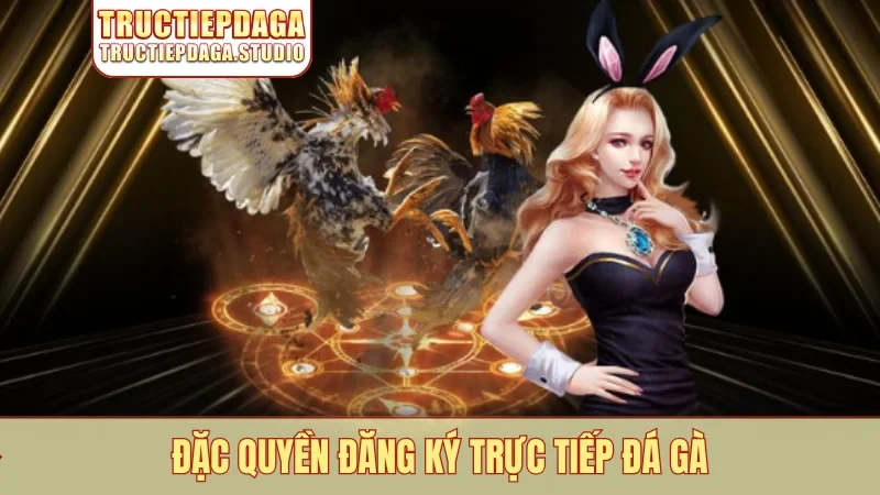 Đặc quyền Đăng ký trực tiếp đá gà