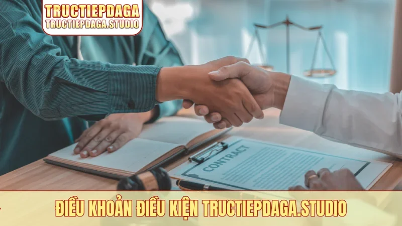 Điều khoản điều kiện Tructiepdaga.studio