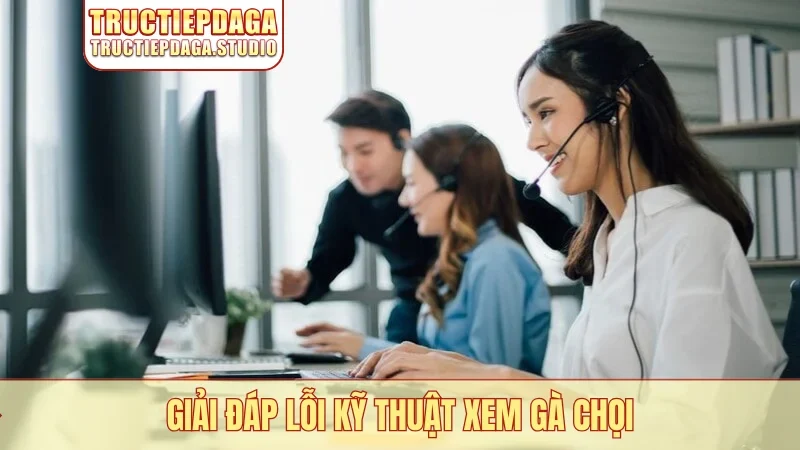 Giải đáp lỗi kỹ thuật xem gà chọi