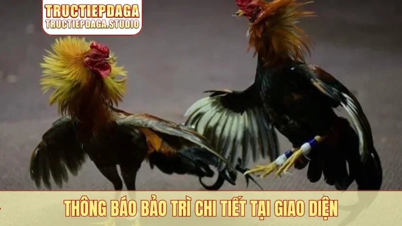 Thông báo bảo trì chi tiết tại giao diện
