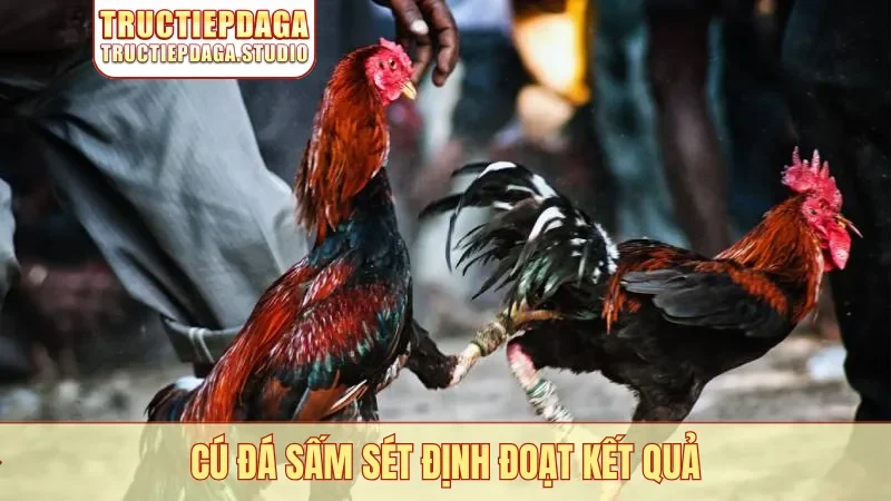 Cú đá sấm sét định đoạt kết quả