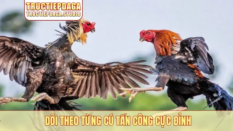 Dõi theo từng cú tấn công cực đỉnh